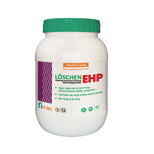 LOSCHEN EHP