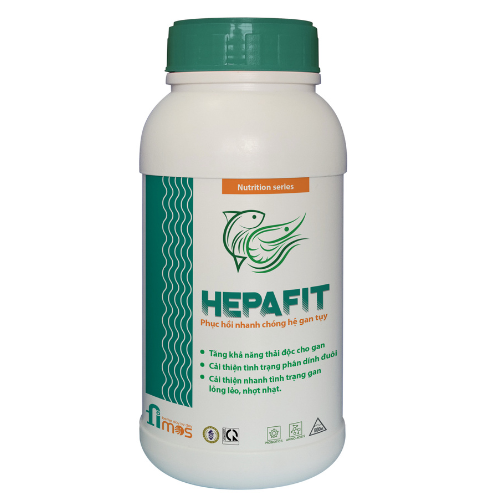 HEPAFIT