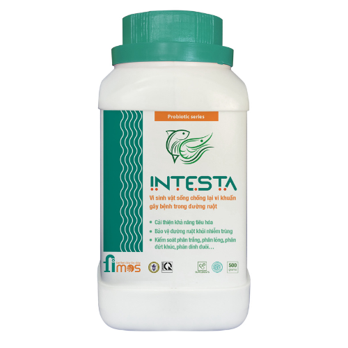 INTESTA