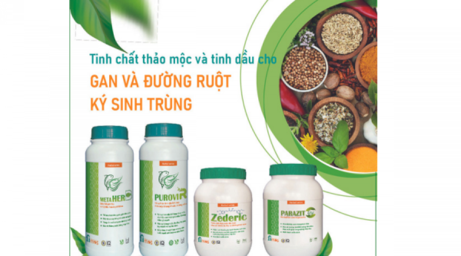 Thảo mộc và tinh dầu