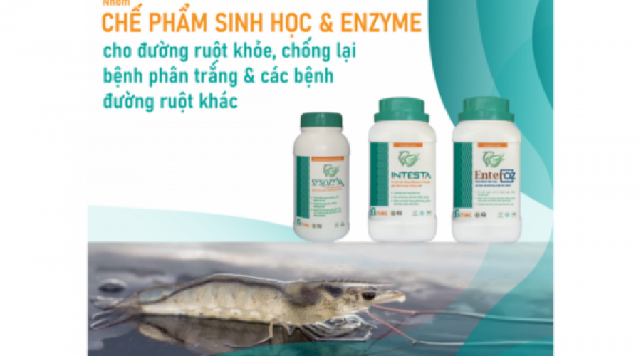 Chế phẩm sinh học cho ăn